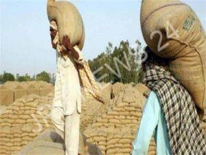 Read more about the article पंजाब में आज से धान की सरकारी खरीद शुरू, मंडियों में किए गए मुकम्मल प्रबंध