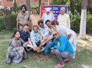 Read more about the article गुरु रविदास नगर के पार्क में गुरु रविदास पार्क मेंटिनेस एंड वेलफेयर सोसाइटी रजिस्टर्ड में पौधारोपण मुहिम चलाई गई