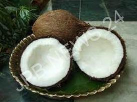 जानिए पूजा में खराब या सूखा नारियल का महत्व: क्या यह शुभ है या अशुभ - Know the importance of spoiled or dry coconut in puja: Is it auspicious or inauspicious