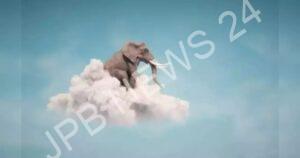 Read more about the article नवरात्रि के दौरान सपने बहुत खास माने जाते हैं, अगर सपने में दिखे ये चीजें तो बदल सकती है किस्मत। Dreams are considered very special during navratri, if these things are seen in the dream then luck can change