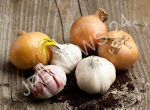 Read more about the article नवरात्रि पर बन रहा है बेहद खास योग, निकालें ये 5 चीजें, मिलेगा लाभ – A very special yog is being made on navratri, remove these 5 things, you will get benefit