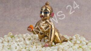 Read more about the article अगर लडडू गोपाल को हर जगह साथ लेकर जाते हैं तो जानिए इससे जुड़ी ये अहम बातें – If you take laddu gopal with you everywhere, then know these important things related to it