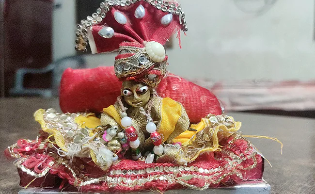 जानिए लड्डू गोपाल को भोग कब कब लगाना चाहिए। Know when laddu gopal should be offered as bhog