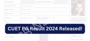 Read more about the article सीयूईटी पीजी परिणाम 2024 जारी, डाउनलोड करने का तरीका देखें। CUET PG result 2024 released, Check how to download