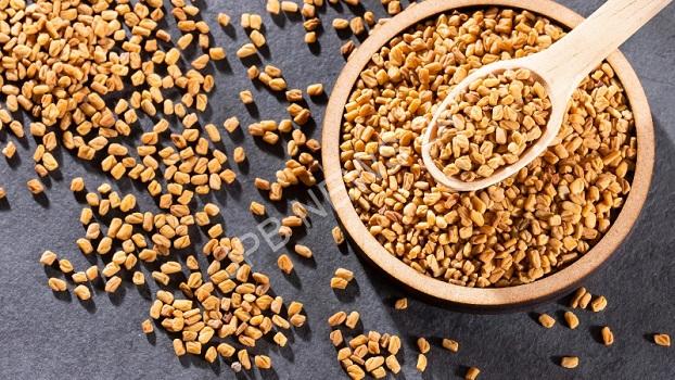 भीगे हुए मेथी के बीज खाने के 7 स्वास्थ्य लाभ के बारे में जाने - Know about 7 health benefits of eating soaked fenugreek seeds