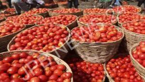 Read more about the article मध्य प्रदेश में टमाटर की कीमतों में  गिरावट, कांग्रेस ने की एमएसपी घोषित करने की मांग – Tomato prices fall in madhya pradesh, Congress demands declaration of MSP