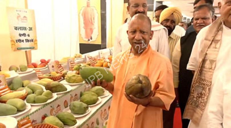 Read more about the article सीएम योगी ने यूपी में आम महोत्सव का किया उद्घाटन, 800 से ज्यादा किस्मों की प्रदर्शनी – CM yogi inaugurated mango festival in UP, exhibition of more than 800 varieties