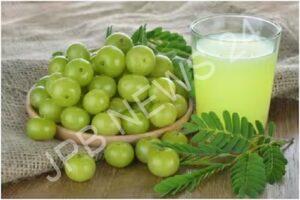 Read more about the article आंवला ही नहीं, आंवला पानी भी है सेहत के लिए फायदेमंद, जानें सेवन का सही तरीका – Not only amla, Amla water is also beneficial for health, know the right way to consume it