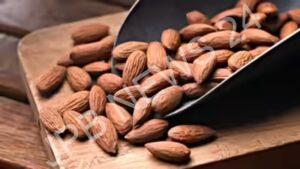 Read more about the article बादाम खाने के फायदे, दिमाग से लेकर दिल तक करता है जबरदस्त असर, जानिए रोज कितने बादाम खाने चाहिए – Benefits of eating almonds, it has a tremendous effect from the brain to the heart, know how many almonds should be eaten daily