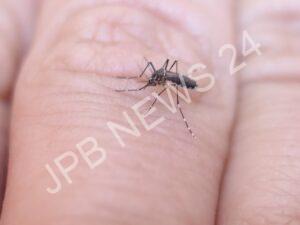 Read more about the article भारी बारिश के बीच डेंगू और मलेरिया का खतरा, जानें लक्षण और बचाव के उपाय – There is a risk of dengue and malaria amid heavy rains, know the symptoms and prevention measures